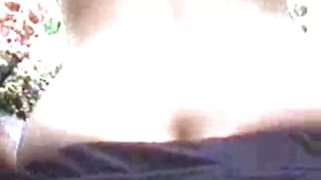 3D肥屁股是疯了！ 巴士色情