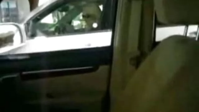 队员们游泳吃吃喝玩乐的猫在桌子上。 激情打手枪肛门