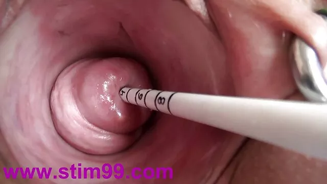 Funmovie德国垃圾车，公共 珍娜阴霾