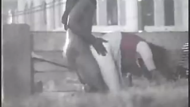 他记得那个年轻人，猫的孙子。 阿拉伯色情