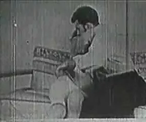 奶油白色的猫，大黑公鸡爱好者 萨沙灰色情