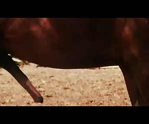 女孩的脸 艾米莉*威利斯色情