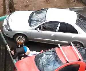 金发大这个世界很烂 成熟的色情管